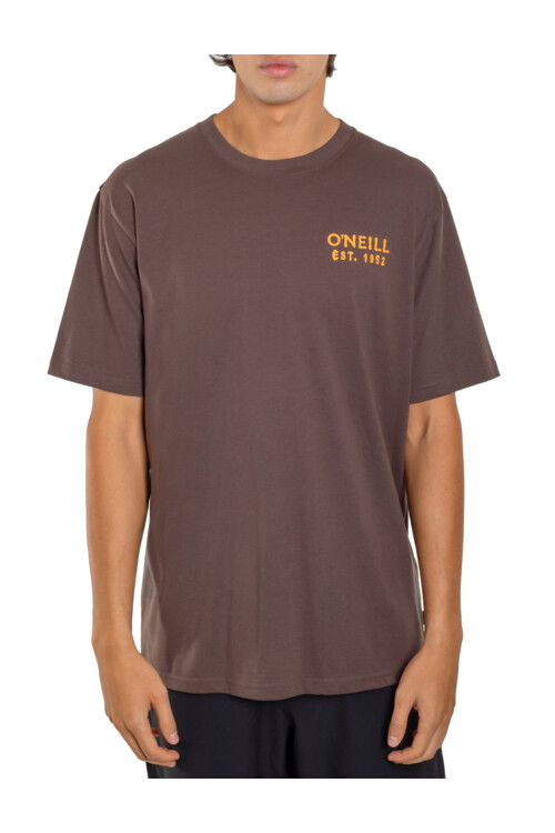 Remera O'Neill Oceanside Marrón