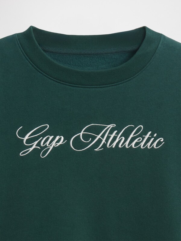 LOGO WEDGE PULLOVER DEEP HUNTER 505