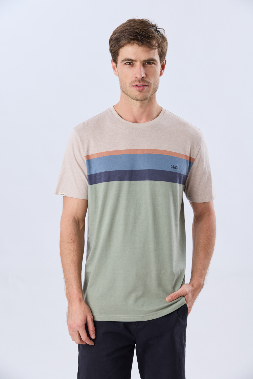 REMERA RAYADA DE ALGODÓN Pistacho