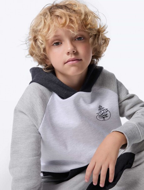 POLERON ML MASC GRIS