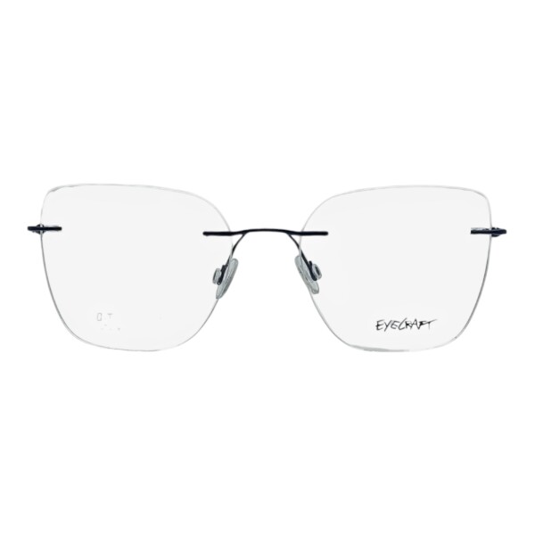 EY881505 azuluniforme