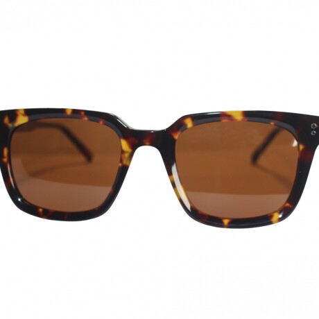 6086 SOL Carey+Marron