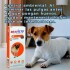 BRAVECTO ANTIPULGAS Y ANTIGARRAPATAS 4.5 A 10 KG