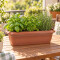 Maceta rectangular 3 lts MARRON