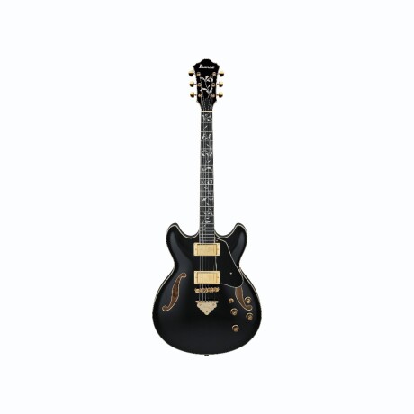 Guitarra Electrica Ibanez As93sp-bk Negro Guitarra Electrica Ibanez As93sp-bk Negro