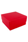 Caja eco 04 - 12x12x6 cm. ROJO