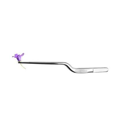 Pinza de Chef Curva 16 cm Ibili Pinza de Chef Curva 16 cm Ibili