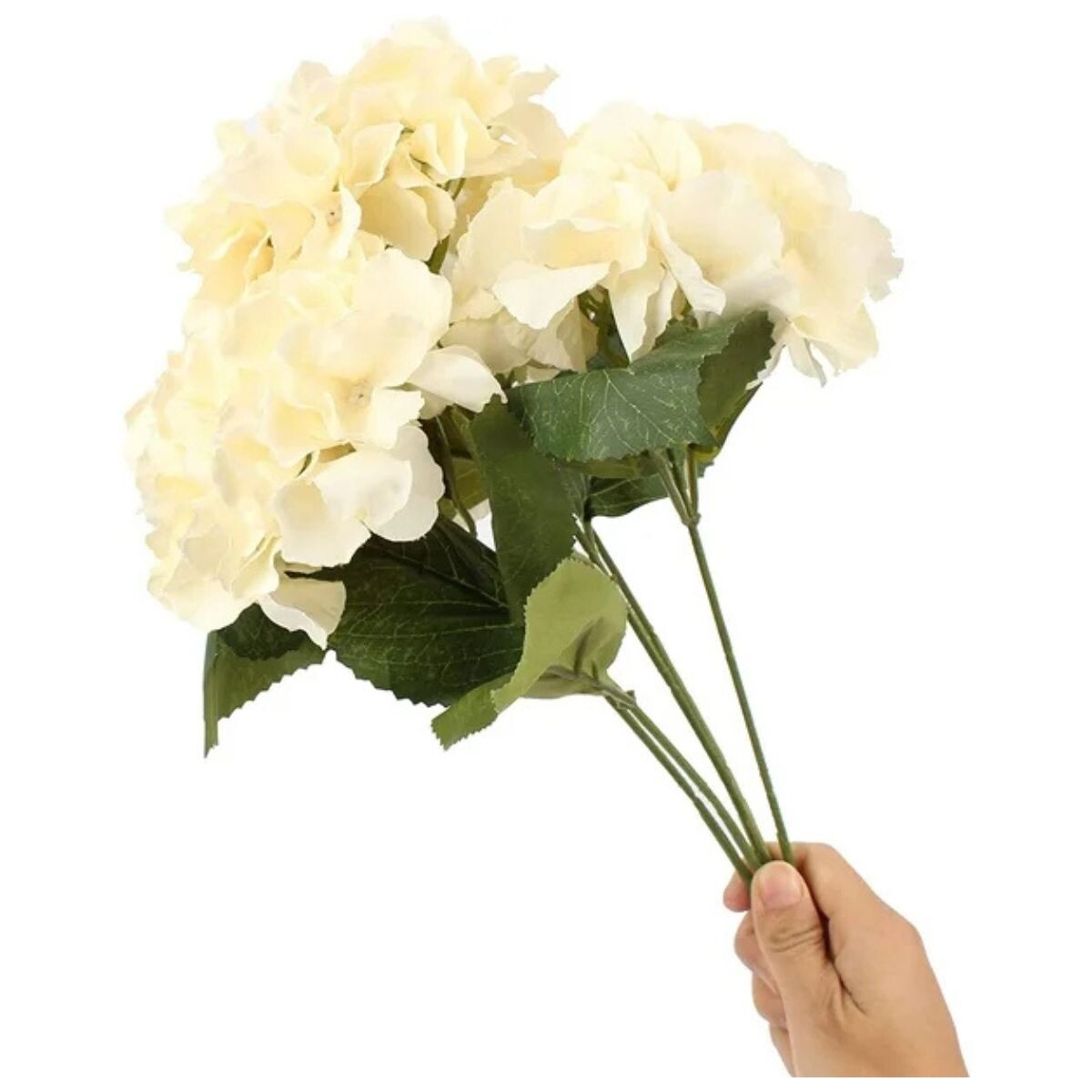 Ramo de 5 Hortensias - Biege 