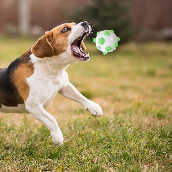 Pelota Juguete Perros Molar Macizo Limpia Dientes Resistente Color Variante Blanco Verde