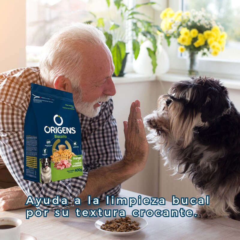 Galletitas Origens Biscoito 400 G Perros Pollo + 7 Cereales Galletitas Origens Biscoito 400 G Perros Pollo + 7 Cereales