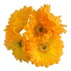 Flor Artificial Gerbera amarilla tallo corto Flor Artificial Gerbera amarilla tallo corto