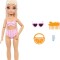 Muñeca Barbie Dream Besties Barbie