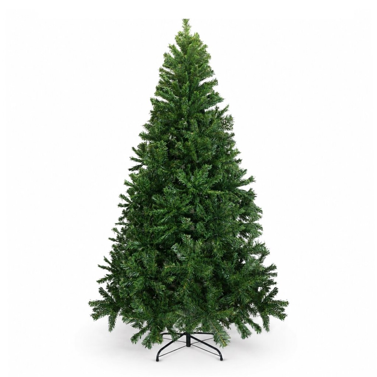 ARBOL MONTERREY 1.80 MT 