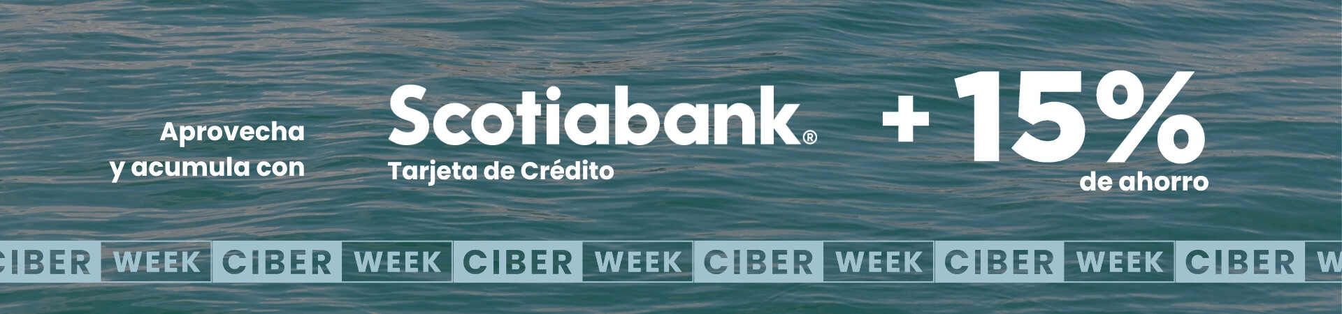 ciber scotia
