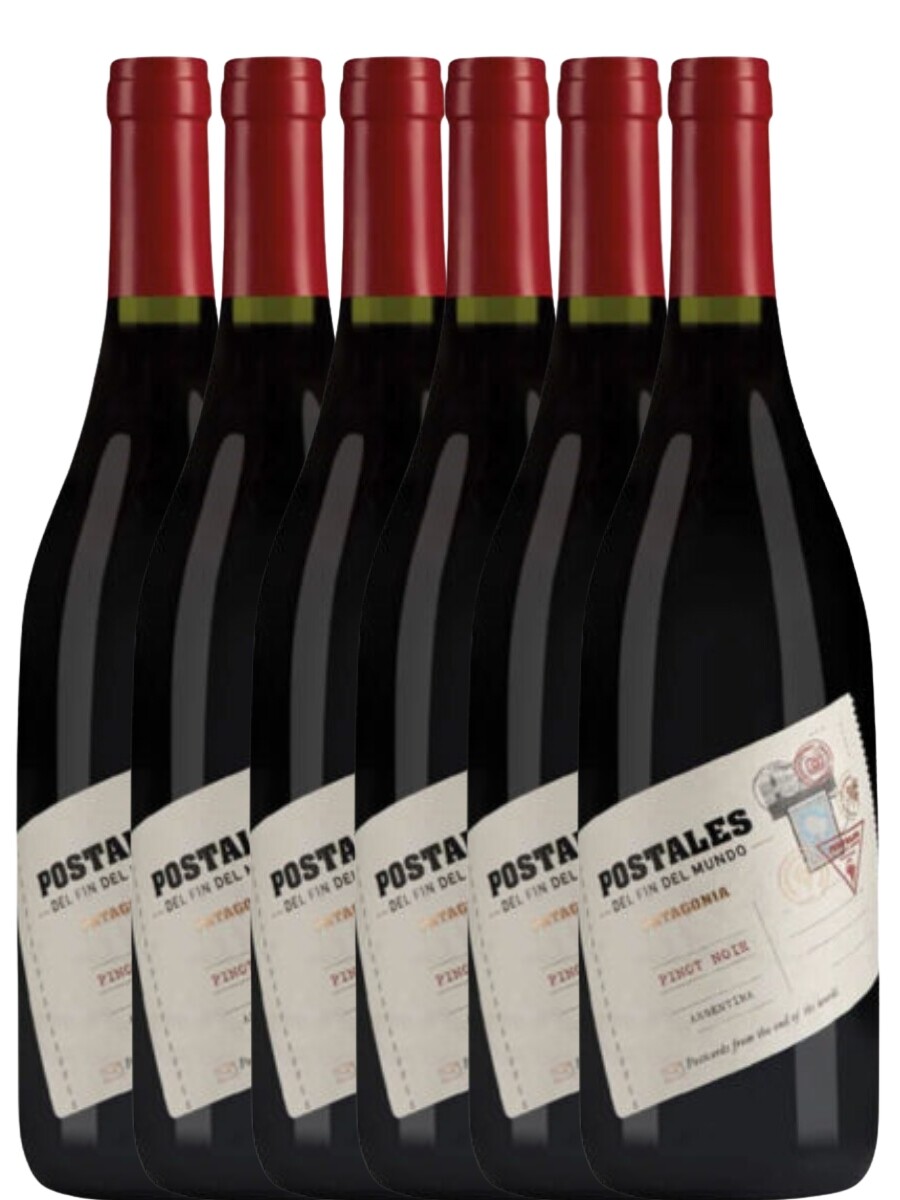 Pack Pinot Postales Promo 5+1 