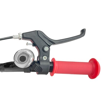 Bicicleta Randers Rodado 20 con Parrilla y Canasto 001