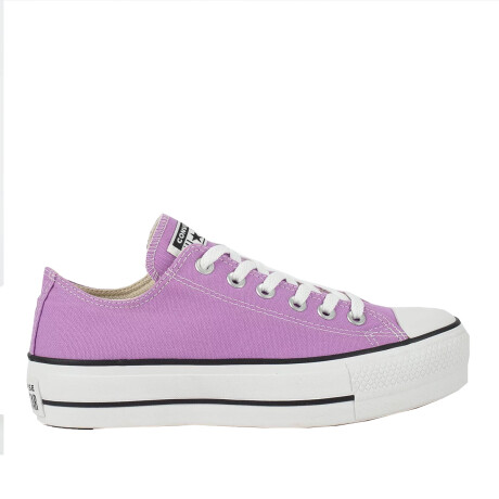 Championes Converse Unisex -CHUCK TAYLOR ALL STAR- A03991C PURPLE