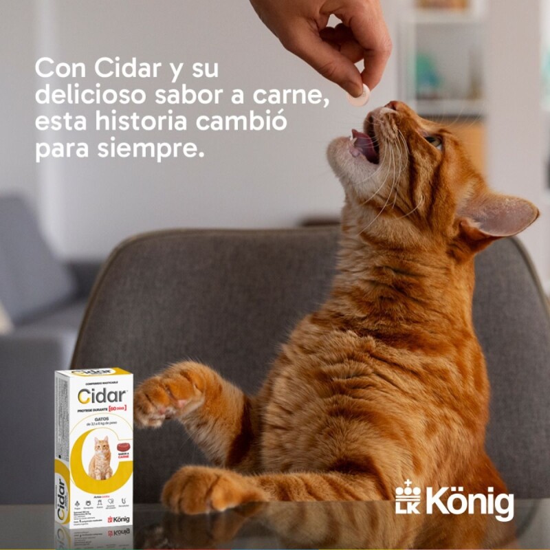 CIDAR GATOS PASTILLA ANTIPULGAS Y ANTIGARRAPATAS KONIG 3 A 6 KG