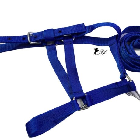 bozal con cabresto de cinta azul