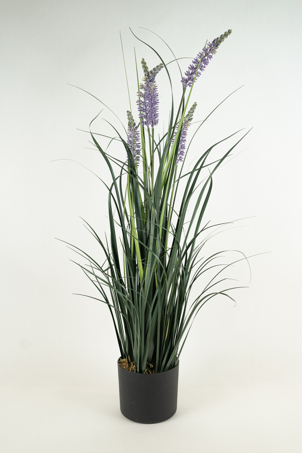 Planta Grass Violet 95cm Color Unico