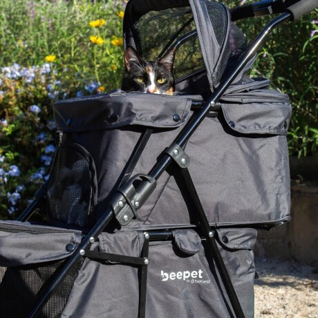 Coche Para Mascota DuoPet de BEEPET Coche Para Mascota DuoPet de BEEPET