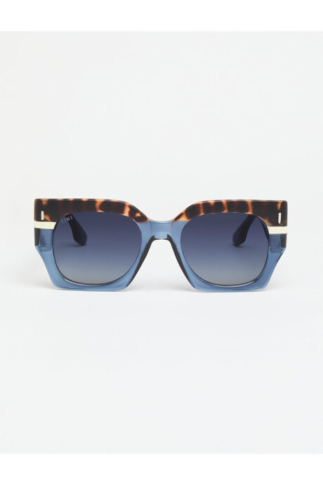 Lentes Tiwi Matt Tricolor Green Tortoise/blue /beige With Blue