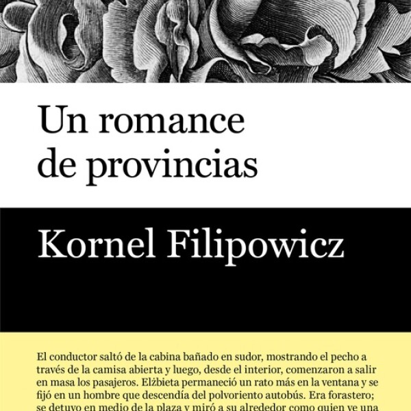Un Romance De Provincias Un Romance De Provincias