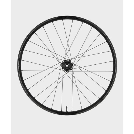 Rueda Raceface Turbine 30 15x110 29 Delantera Rueda Raceface Turbine 30 15x110 29 Delantera