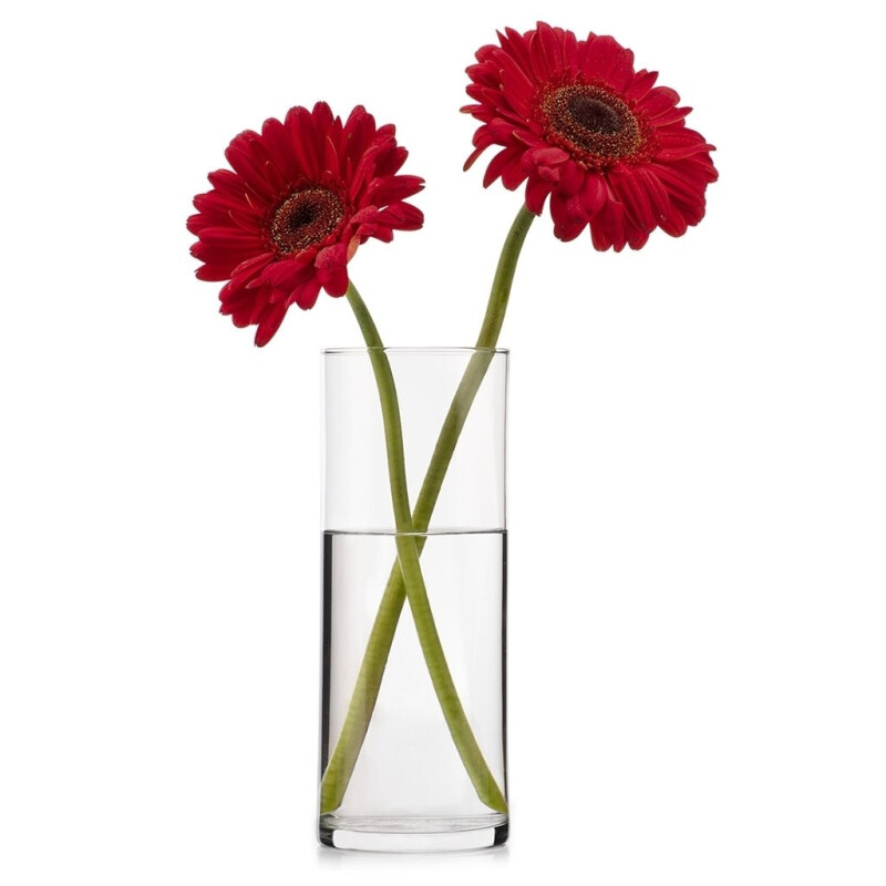 Florero de Vidrio 25cmx9cm Florero de Vidrio 25cmx9cm