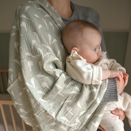 Set Carrito y Paseo - Muselina Chica Vichy Beige + Hyde Park