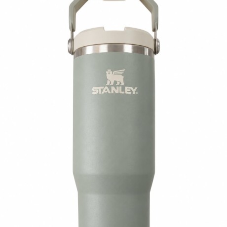 Botella FLIP STRAW TUMBLER Gris