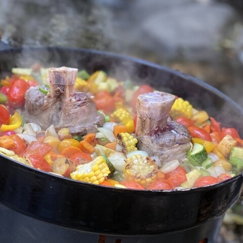 DISCO DE ARADO TROMEN DISCO DE ARADO TROMEN