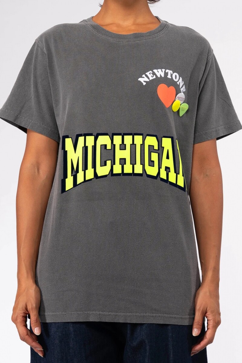 CAMISETA NWTLOVE Gris