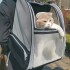 Mochila Bolso Trasportadora Malla Mascota Perros Gatos Viaje Mochila Bolso Trasportadora Malla Mascota Perros Gatos Viaje