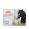 miss melody set de cartas hand letter 413433 S/C