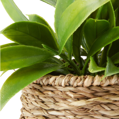 Planta Artificial Bertram Ø8Xa18Cm Surtidas