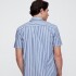V-SS STANDARD POPLIN BLUE WHITE STRIPE
