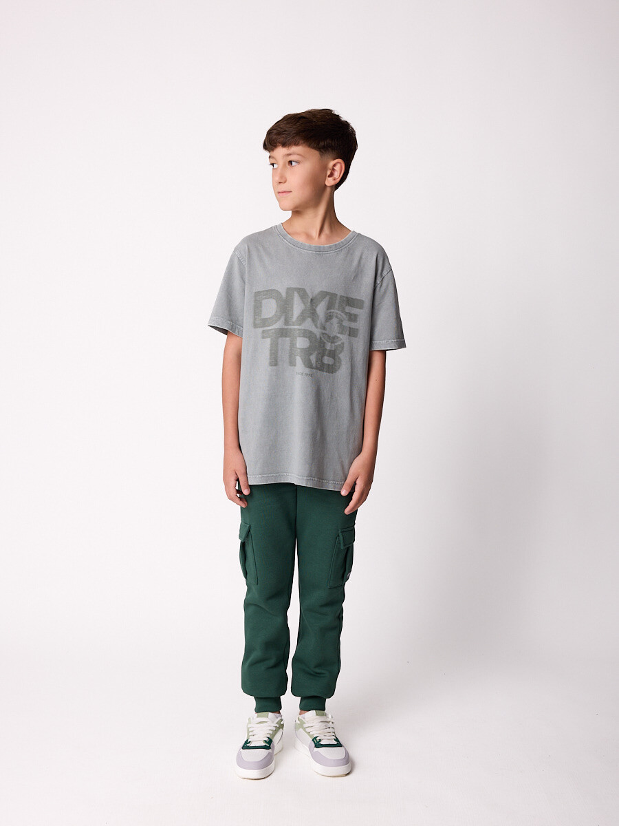 T-SHIRT JAWNI TEEN DIXIE Gris