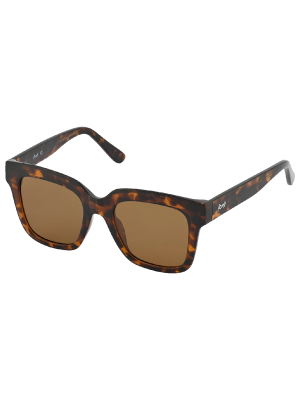 Lentes de sol