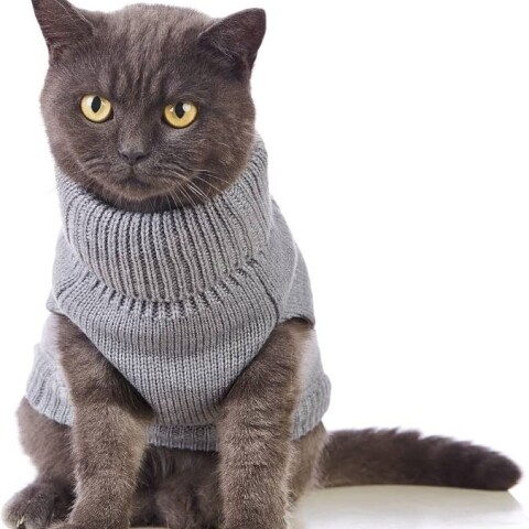 Sweater Para Gato Tejido Sweater Para Gato Tejido