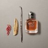 Perfume Giorgio Armani Stronger With You Intensely EDP 50ml Perfume Giorgio Armani Stronger With You Intensely EDP 50ml