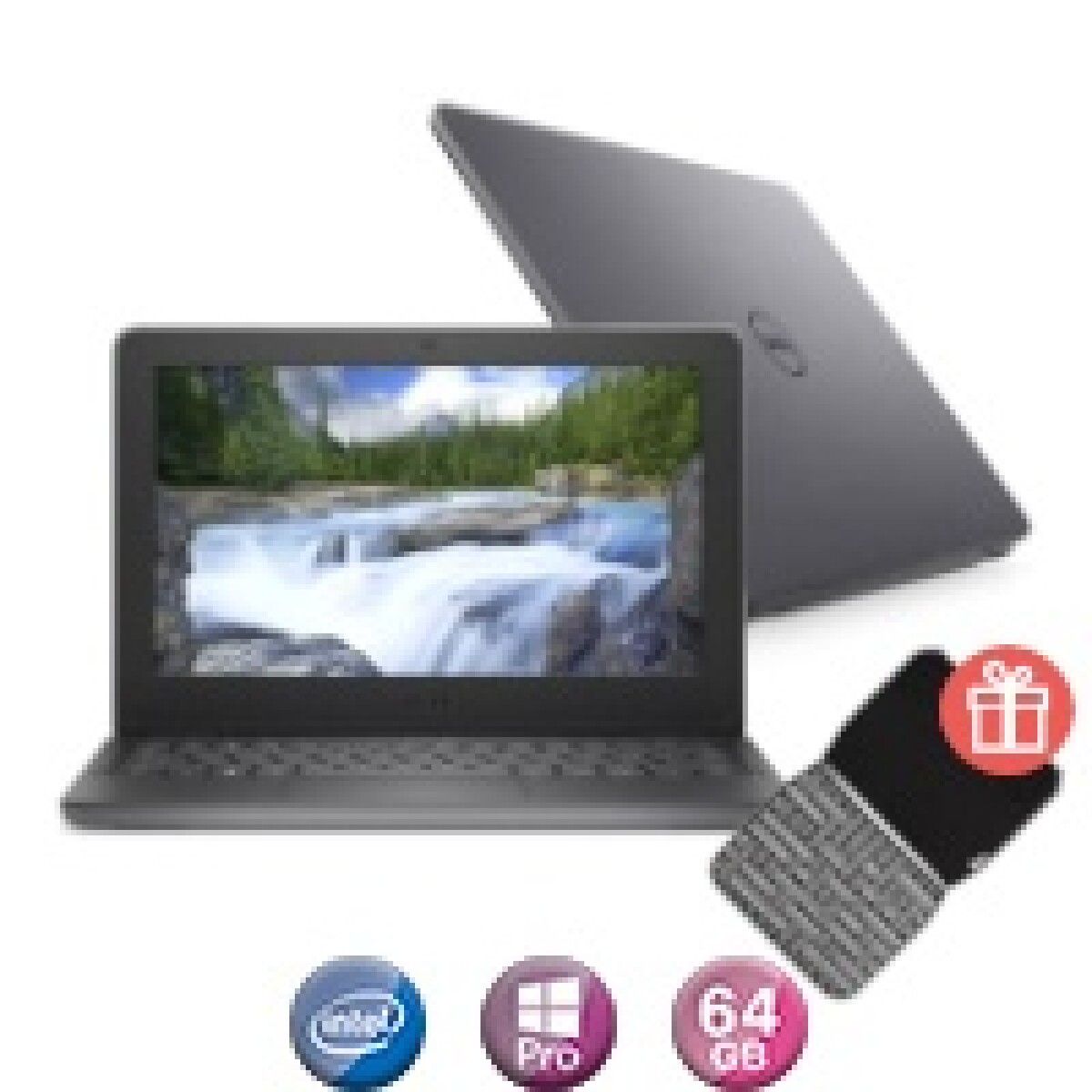 Notebook Dell 11,6'' N100 4gb 64gb Win11 Pro 
