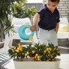 Regadera circular duo 500 ml Banana Blue