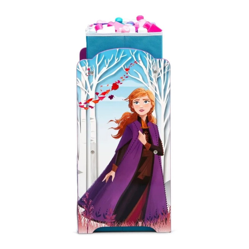 Organizador Infantil Disney C/6 compartimentos Frozen