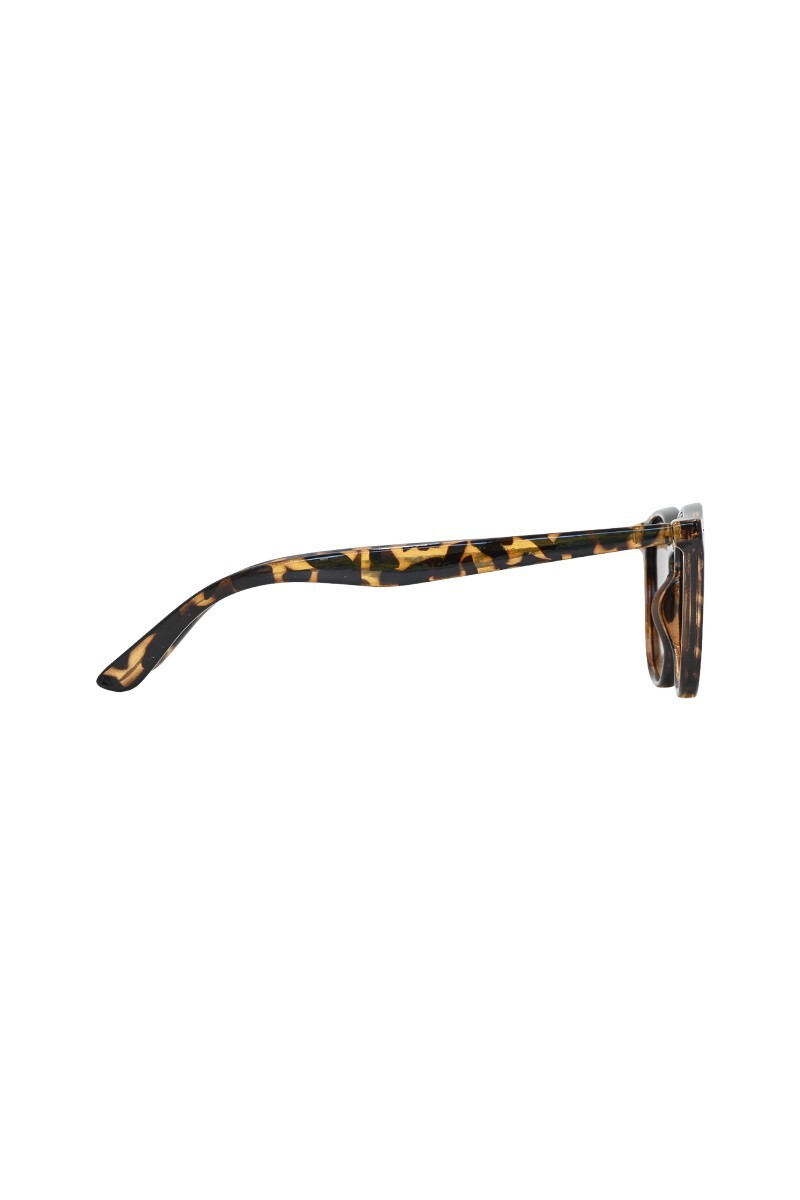 Lentes de Sol Marrón