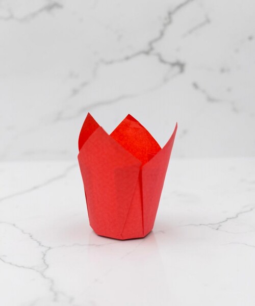 Tulipa 15x5 cm ROJO