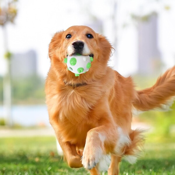 Pelota Juguete Perros Molar Macizo Limpia Dientes Resistente Color Variante Blanco Verde