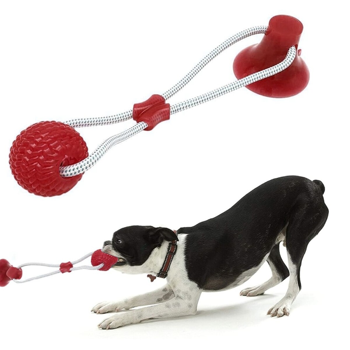 Juguete de Cuerda con Ventosa y Pelota Mordible para Perros - Rojo 