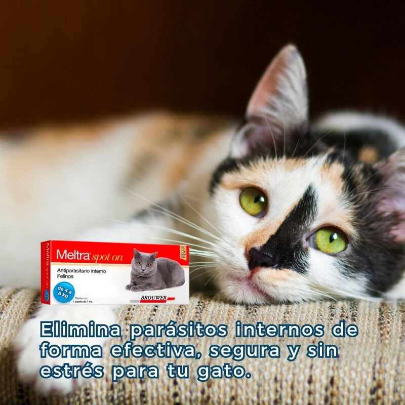 MELTRA SOPOT ON ANTIPARASITARIO INTERNO EN FORMA DE PIPETA PARA GATOS DE 4 A 8 KG MELTRA SOPOT ON ANTIPARASITARIO INTERNO EN FORMA DE PIPETA PARA GATOS DE 4 A 8 KG