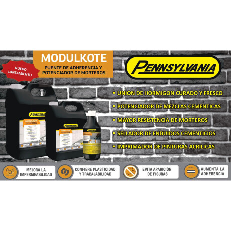 10 LITROS PUENTE DE ADHERENCIA Y POTENCIADOR DE MORTEROS 000